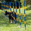 Hundesport Profi Agility Slalom -Günstiges Hundeshop Geschäft 422543 Product
