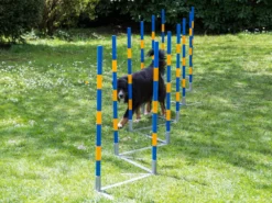 Hundesport Profi Agility Slalom 9 Hundesport Profi Agility Slalom -Günstiges Hundeshop Geschäft 422545 Product