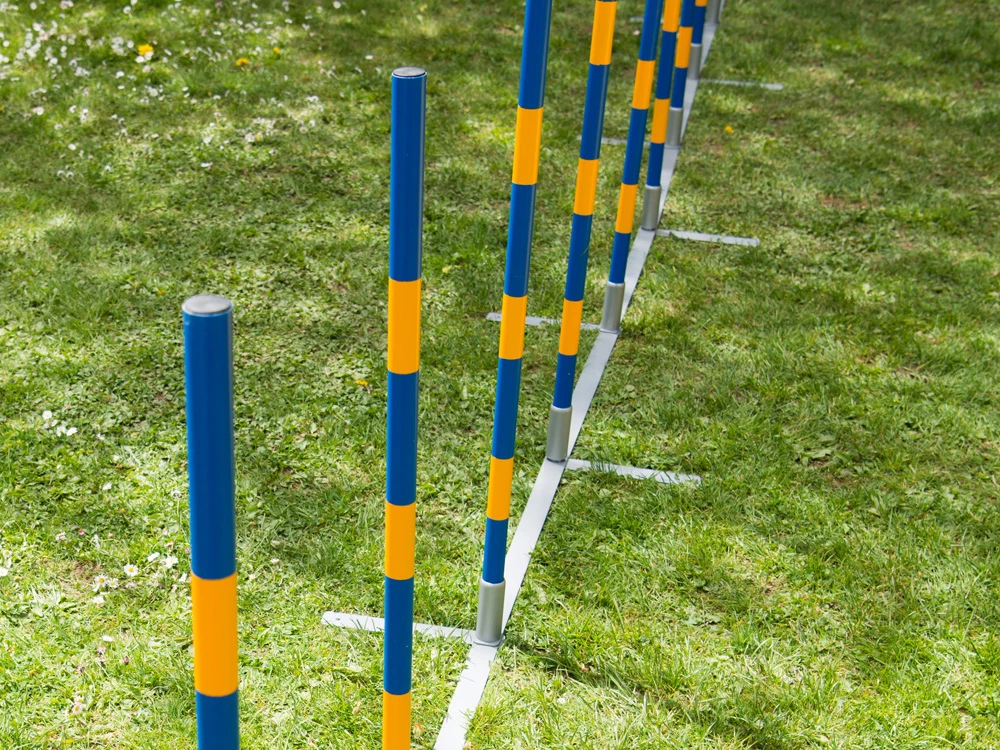 Hundesport Profi Agility Slalom 5 Hundesport Profi Agility Slalom – Bild 3