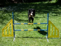 Hundesport Agility Hürde Mit Seitenteilen 9 Hundesport Agility Hürde Mit Seitenteilen -Günstiges Hundeshop Geschäft 422631 Product