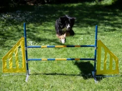 Hundesport Agility Hürde Mit Seitenteilen 10 Hundesport Agility Hürde Mit Seitenteilen -Günstiges Hundeshop Geschäft 422633 Product