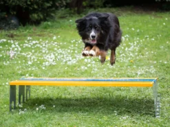 Hundesport Profi Agility Weitsprung-Hürde 6 Hundesport Profi Agility Weitsprung-Hürde -Günstiges Hundeshop Geschäft 424058 Product