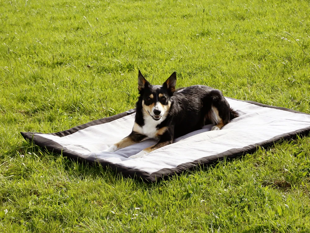 Hundedecke Trip 7 Hundedecke Trip – Bild 5