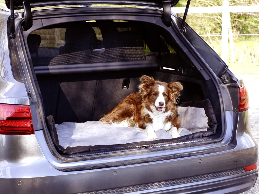 Hundedecke Trip 8 Hundedecke Trip – Bild 6