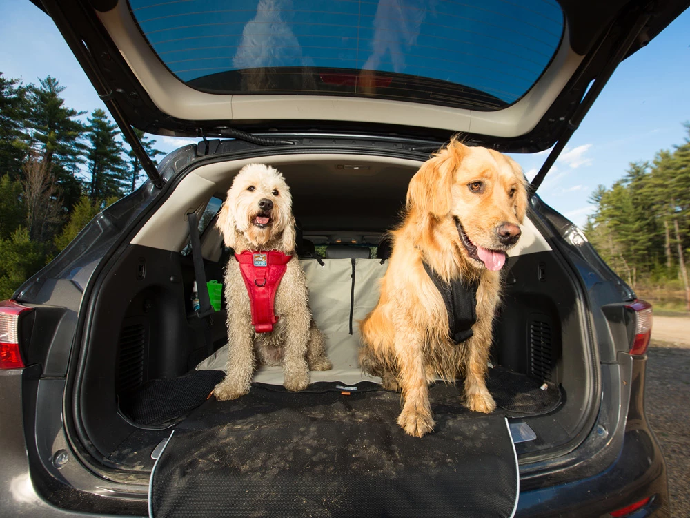 Kurgo Cargo Cape Kofferraum Schutzdecke 4 Kurgo Cargo Cape Kofferraum Schutzdecke – Bild 2