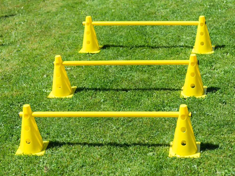 Dog Agility Pylonenhürde Kegelhürde 23 Cm Gelb 4 Dog Agility Pylonenhürde Kegelhürde 23 Cm Gelb – Bild 2