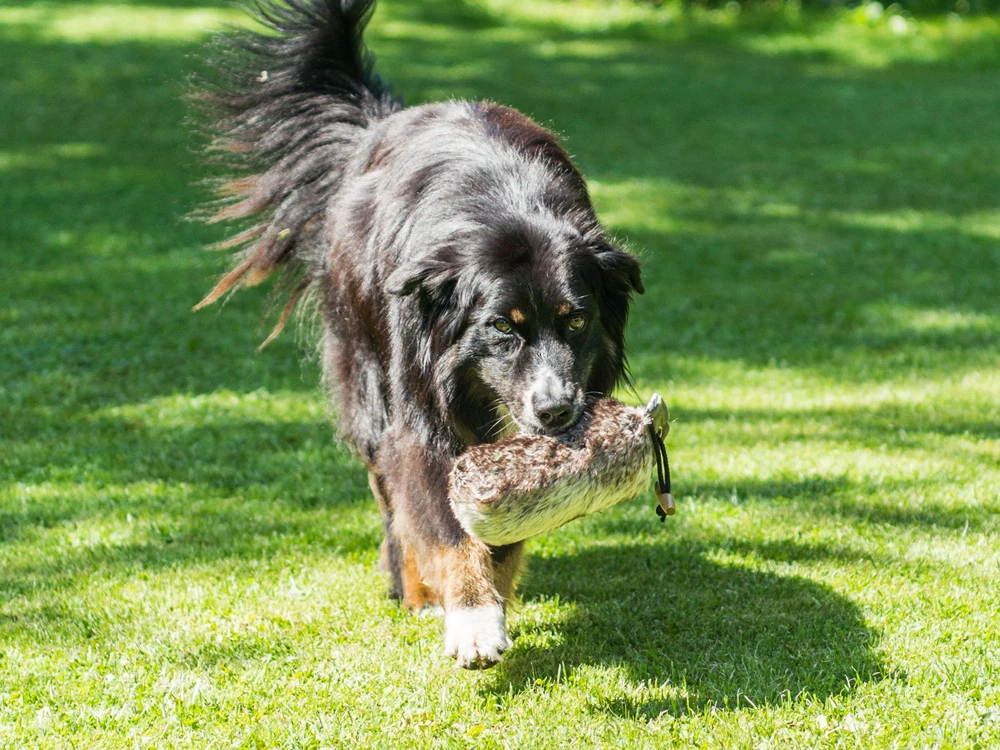 Fell Dummy Mit Wurfhilfe 4 Fell Dummy Mit Wurfhilfe – Bild 2