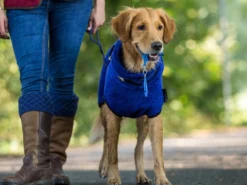 Dryup Cape Hundebademantel Blueberry