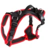 Grossenbacher Hundegeschirr Vary Rot 2 Grossenbacher Hundegeschirr Vary Rot -Günstiges Hundeshop Geschäft 436517 Product