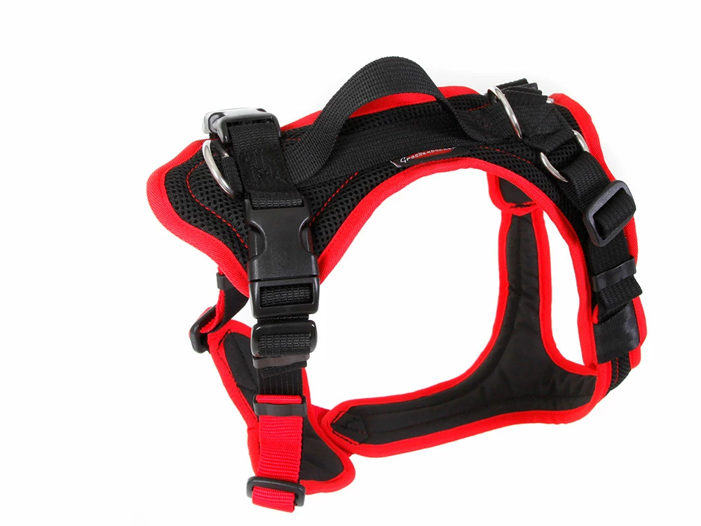 Grossenbacher Hundegeschirr Vary Rot 4 Grossenbacher Hundegeschirr Vary Rot – Bild 2