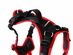 Grossenbacher Hundegeschirr Vary Rot 8 Grossenbacher Hundegeschirr Vary Rot -Günstiges Hundeshop Geschäft 436519 Product