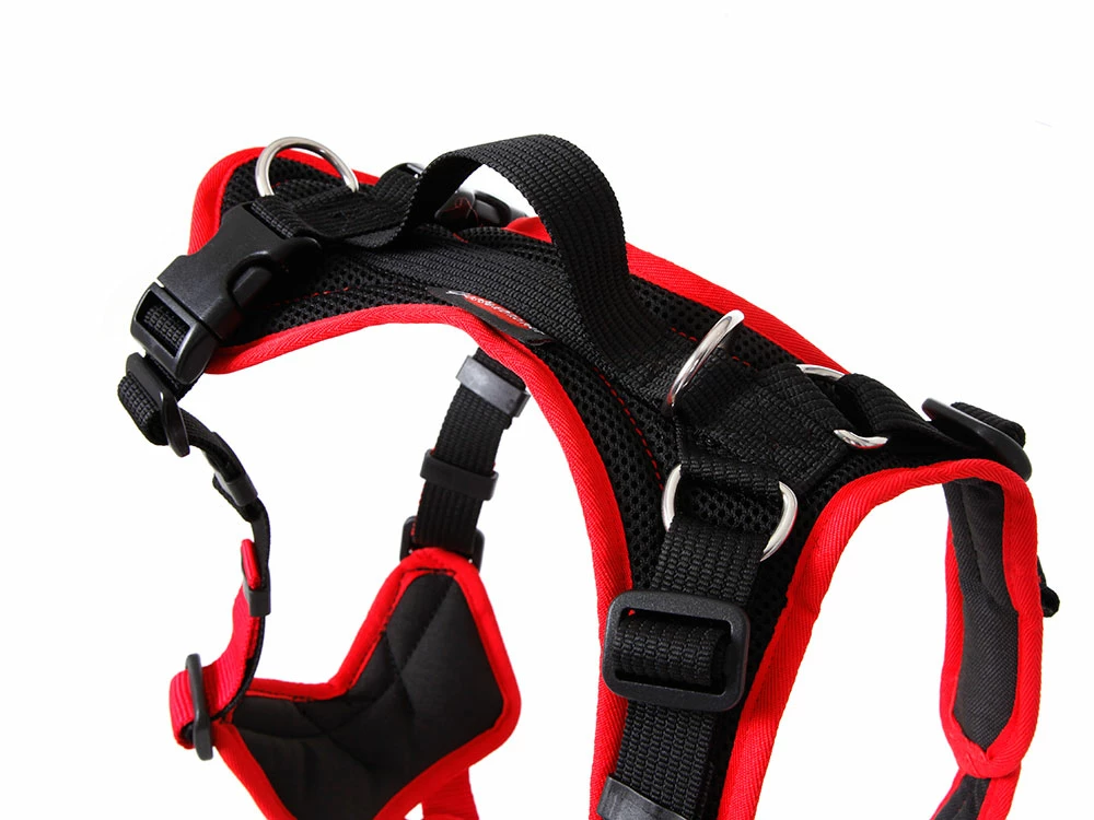 Grossenbacher Hundegeschirr Vary Rot 5 Grossenbacher Hundegeschirr Vary Rot – Bild 3