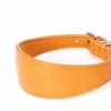 Windhunde Halsband Luxor Nappaleder Cognac
