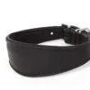 Windhunde Halsband Luxor Nappaleder Schwarz