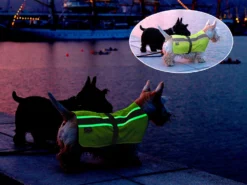 Leucht- & Wärme Hundemantel Flecta Vizlite DT 11 Leucht- & Wärme Hundemantel Flecta Vizlite DT -Günstiges Hundeshop Geschäft 440605 Product