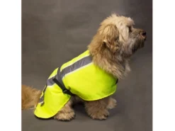 Leucht- & Wärme Hundemantel Flecta Vizlite DT 12 Leucht- & Wärme Hundemantel Flecta Vizlite DT -Günstiges Hundeshop Geschäft 440607 Product