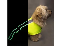 Leucht- & Wärme Hundemantel Flecta Vizlite DT 13 Leucht- & Wärme Hundemantel Flecta Vizlite DT -Günstiges Hundeshop Geschäft 440609 Product