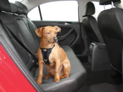 Kurgo Hunde Autogeschirr Strength Tru-Fit Schwarz 10 Kurgo Hunde Autogeschirr Strength Tru-Fit Schwarz -Günstiges Hundeshop Geschäft 453667 Product