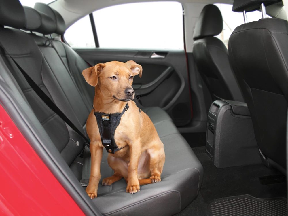 Kurgo Hunde Autogeschirr Strength Tru-Fit Schwarz 5 Kurgo Hunde Autogeschirr Strength Tru-Fit Schwarz – Bild 3