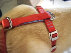 Kurgo Hunde Autogeschirr Strength Tru-Fit Schwarz 11 Kurgo Hunde Autogeschirr Strength Tru-Fit Schwarz -Günstiges Hundeshop Geschäft 453669 Product