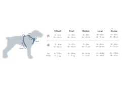 Kurgo Hunde Autogeschirr Strength Tru-Fit Schwarz 13 Kurgo Hunde Autogeschirr Strength Tru-Fit Schwarz -Günstiges Hundeshop Geschäft 453673 Product