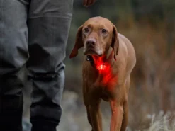 Ruffwear The Beacon™ Halsband- Und Geschirrlicht -Günstiges Hundeshop Geschäft 456415 Product