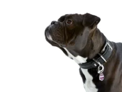 Hunter Designkarabiner Easy Change Halsband Clip 7 Hunter Designkarabiner Easy Change Halsband Clip -Günstiges Hundeshop Geschäft 462374 Product