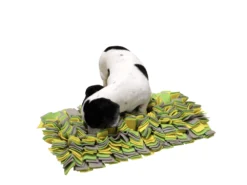 Schnüffelwiese Schnüffelteppich 50 X 30 Cm