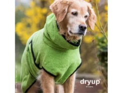 Dryup Cape Hundebademantel Kiwi 10 Dryup Cape Hundebademantel Kiwi -Günstiges Hundeshop Geschäft 469915 Product