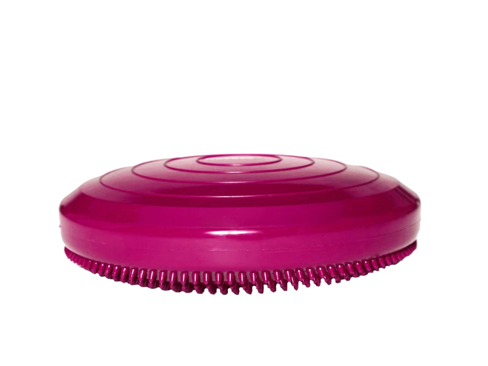 FitPAWS® Balance Disc Lavendel 3 FitPAWS® Balance Disc Lavendel