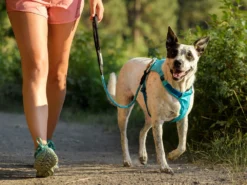 Ruffwear Hi & Light™ Hundegeschirr Blue Atoll 12 Ruffwear Hi & Light™ Hundegeschirr Blue Atoll -Günstiges Hundeshop Geschäft 476294 Product