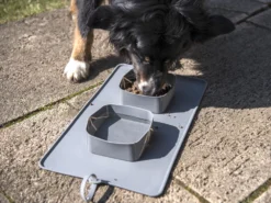 Rollbarer Doppel Hundenapf Reisenapf 9 Rollbarer Doppel Hundenapf Reisenapf -Günstiges Hundeshop Geschäft 478315 Product