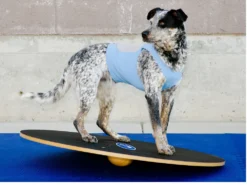 FitPAWS® Wobble Board 9 FitPAWS® Wobble Board -Günstiges Hundeshop Geschäft 482352 Product