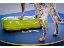FitPAWS® Wobble Board 10 FitPAWS® Wobble Board -Günstiges Hundeshop Geschäft 482354 Product