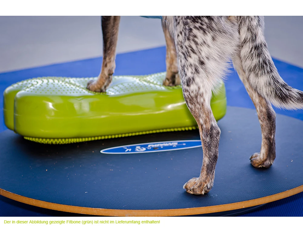 FitPAWS® Wobble Board 6 FitPAWS® Wobble Board – Bild 4
