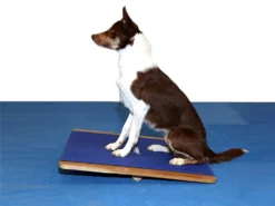 FitPAWS® Giant Rocker Board 9 FitPAWS® Giant Rocker Board -Günstiges Hundeshop Geschäft 482492 Product