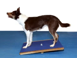 FitPAWS® Giant Rocker Board 10 FitPAWS® Giant Rocker Board -Günstiges Hundeshop Geschäft 482494 Product