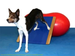 FitPAWS® Giant Rocker Board 11 FitPAWS® Giant Rocker Board -Günstiges Hundeshop Geschäft 482496 Product