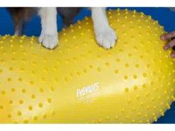 FitPAWS® Peanut Trax Gelb 40 Cm 9 FitPAWS® Peanut Trax Gelb 40 Cm -Günstiges Hundeshop Geschäft 482565 Product