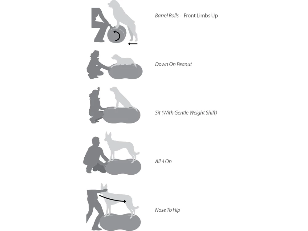 FitPAWS® Peanut Trax Gelb 40 Cm 7 FitPAWS® Peanut Trax Gelb 40 Cm – Bild 5