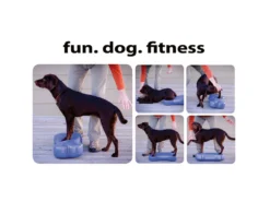 FitPAWS® K9 FITbone 13 FitPAWS® K9 FITbone -Günstiges Hundeshop Geschäft 482638 Product