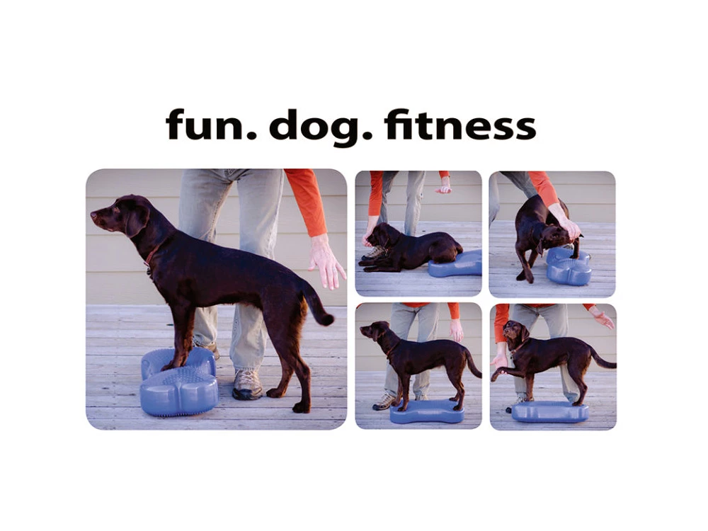 FitPAWS® K9 FITbone 8 FitPAWS® K9 FITbone – Bild 6