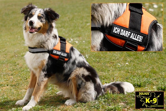 Julius K9 Power Hundegeschirr Ozean 4 Julius K9 Power Hundegeschirr Ozean – Bild 2