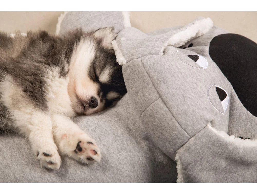 Hello Puppy Kuschel Boomba Welpen Schlafhilfe 4 Hello Puppy Kuschel Boomba Welpen Schlafhilfe – Bild 2