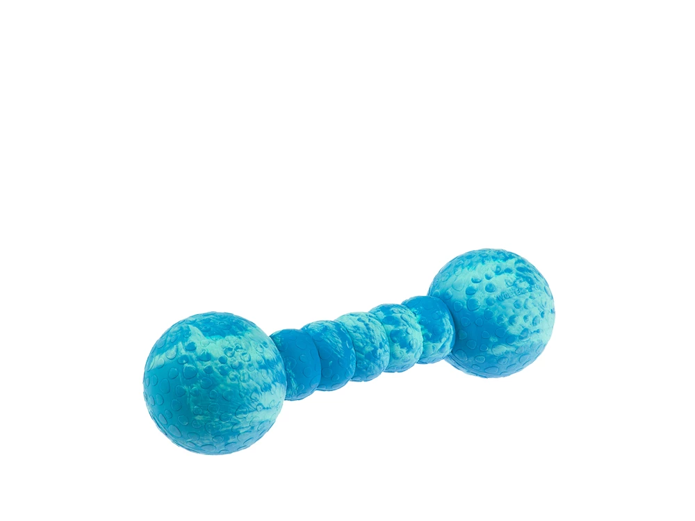 Wolters Aqua Fun Gym Spielhantel 4 Wolters Aqua Fun Gym Spielhantel – Bild 2