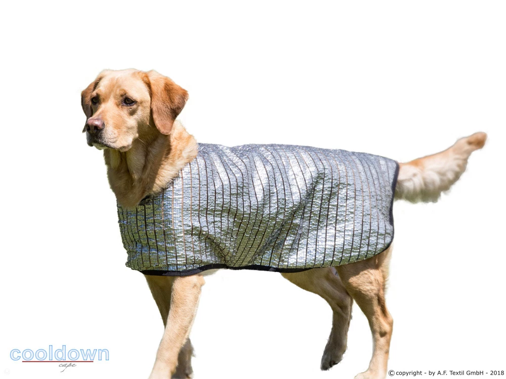 Cooldown Cape Hundeweste 3 Cooldown Cape Hundeweste