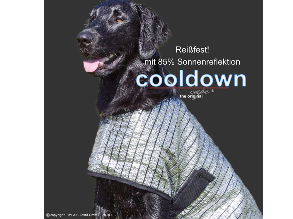 Cooldown Cape Hundeweste 4 Cooldown Cape Hundeweste – Bild 2