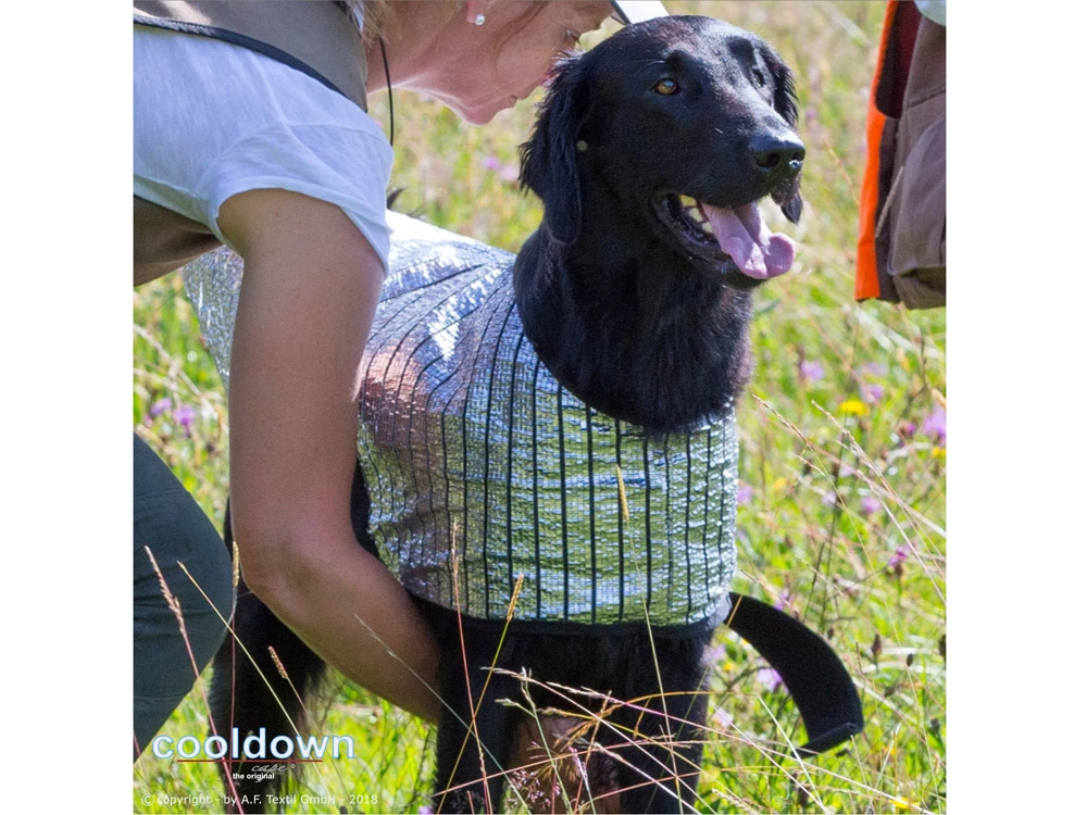 Cooldown Cape Hundeweste 6 Cooldown Cape Hundeweste – Bild 4