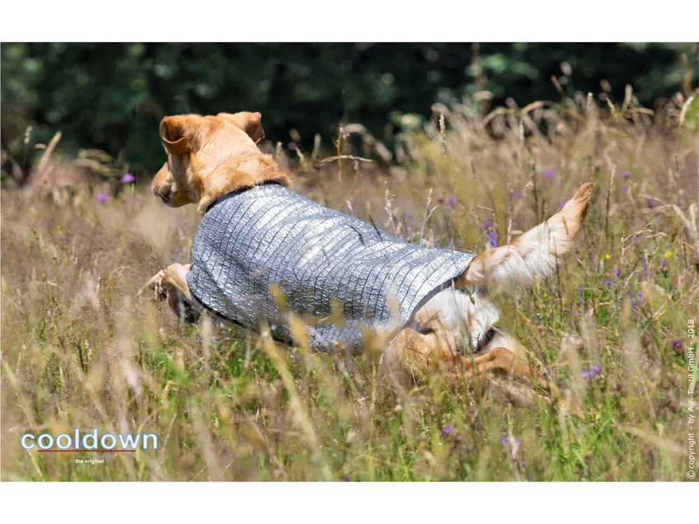 Cooldown Cape Hundeweste 7 Cooldown Cape Hundeweste – Bild 5