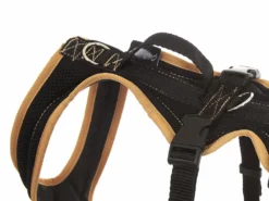 Grossenbacher Hundegeschirr FunRun Windhund Spezial -Günstiges Hundeshop Geschäft 501965 Product